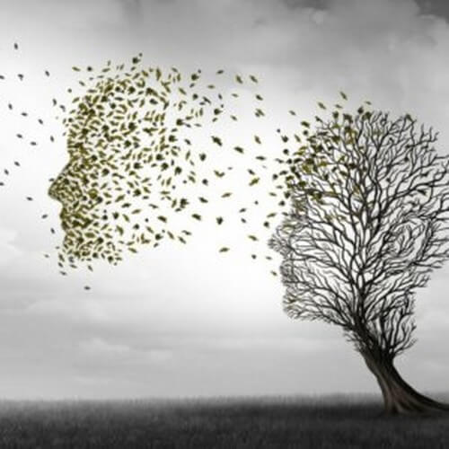 Fasi dello Alzheimer e testa che perde le foglie.