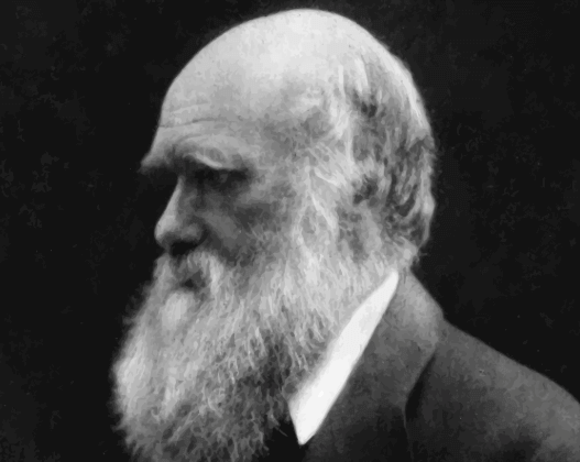 Charles Darwin e origine delle religioni