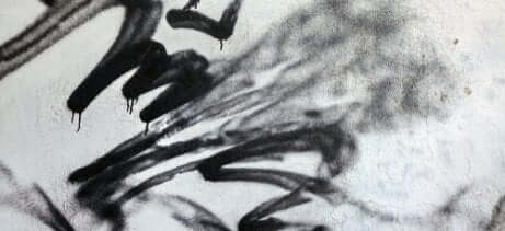 Graffito su un muro.