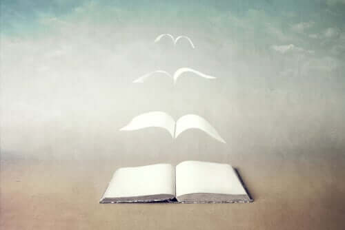 Libro pagine che volano.