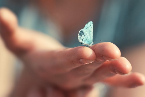 L'intuito è naturale e farfalla sulla mano.