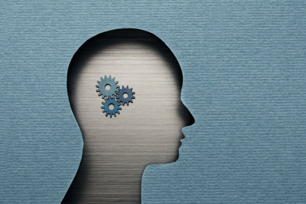 Ingranaggi del cervello.