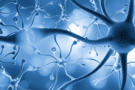 Neuroni connessi tra loro.