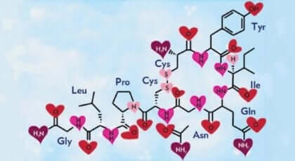 Formula chimica della ossitocina.
