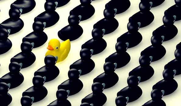 Non riuscire ad adattarsi: papera gialla tra papere nere