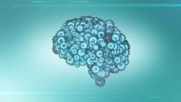 Teoria bifattoriale di Spearman sull'intelligenza