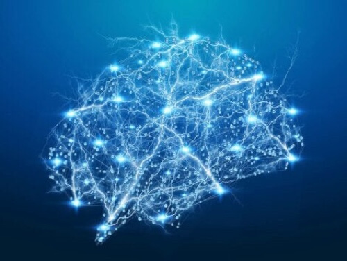 Connessioni neurali.