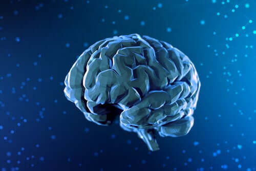 Illustrazione cervello di profilo.