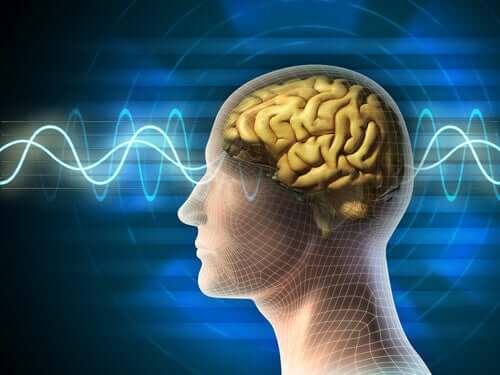 Le onde cerebrali.