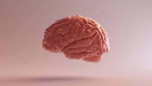 La neuropsicologia: definizione e obiettivi