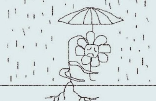 Fiore sotto un ombrello.