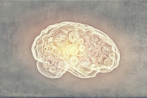 Il cervello e i suoi meccanismi.