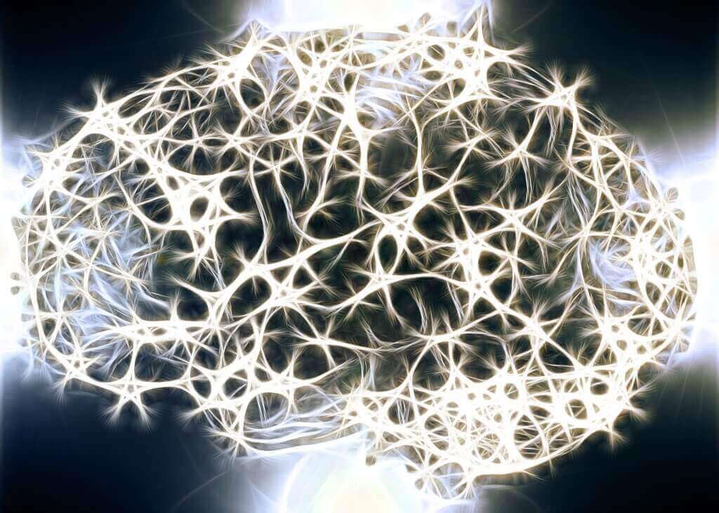 Neuroni del cervello.