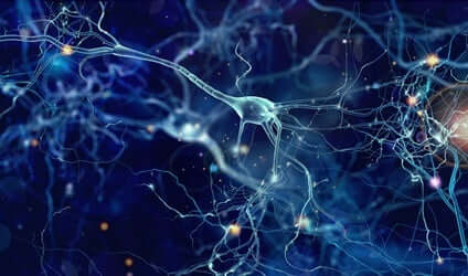 Connessioni tra neuroni.