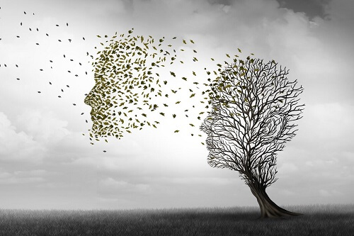 Albero con sagoma di testa.