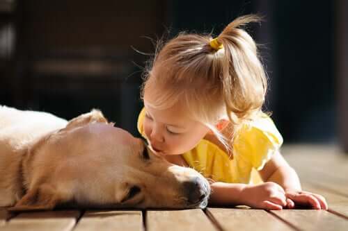 Bambina che bacia il suo cane.