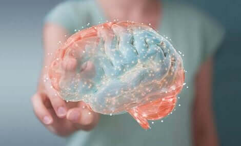 Dopamina e il nucleus accumbens sono il centro della motivazione e della voglia di vivere.