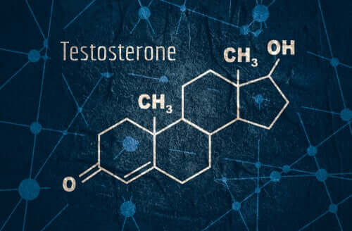 Testosterone: ormone maschile nelle donne