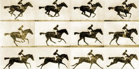 Fotogrammi di cavalli in movimento.