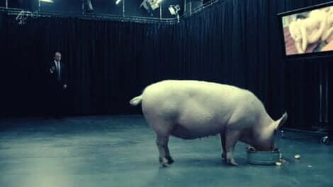 Maiale episodio di Balck Mirror.