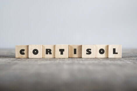 Parola cortisolo.