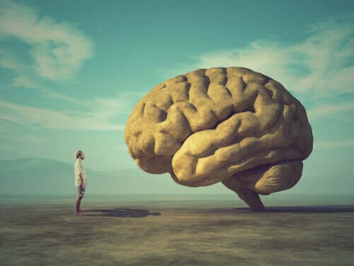 Uomo e cervello umano.