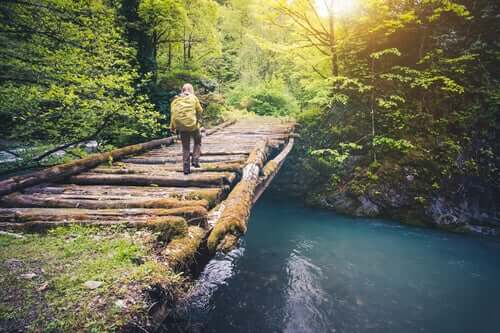 Un viaggiatore attraversa un ponte su un fiume.