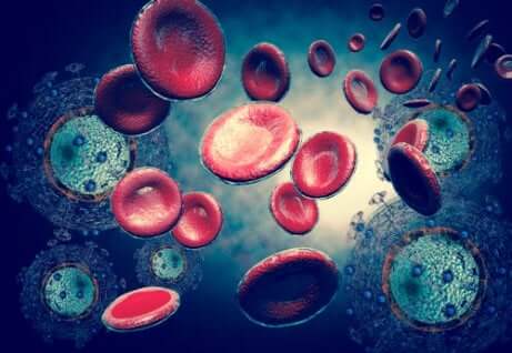 Il virus dell'HIV contratto volontariamente.