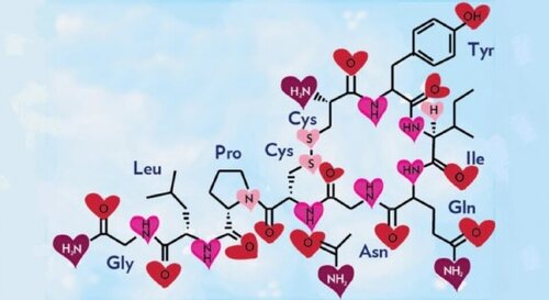 Formula chimica dell'ossitocina.