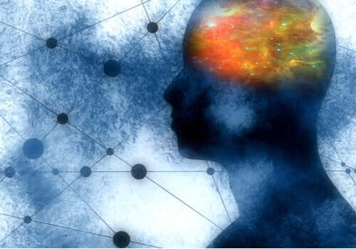 Funzioni dei neuroni specchio