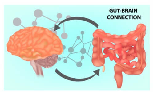 Microbiota intestinale e salute cerebrale