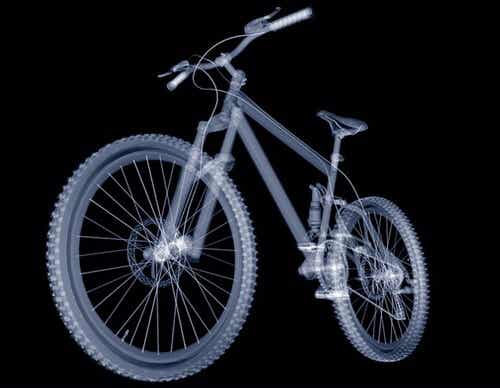 Perché non dimentichiamo come andare in bicicletta.