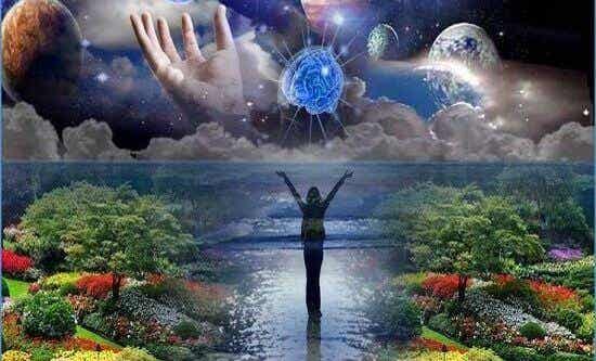 Immagini e neuroscienze della immaginazione.