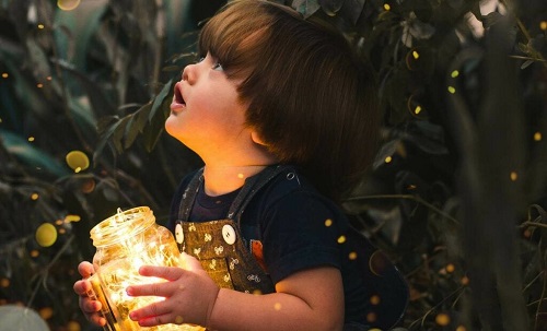 Curiosità e fame condividono alcune aree cerebrali