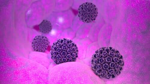 Il Papilloma Virus Umano (HPV)