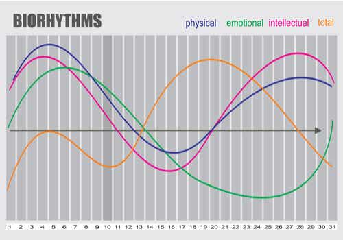 Bioritmi e ritmi circadiani.