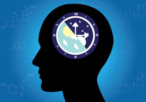 I ritmi circadiani: cosa sono e come funzionano?