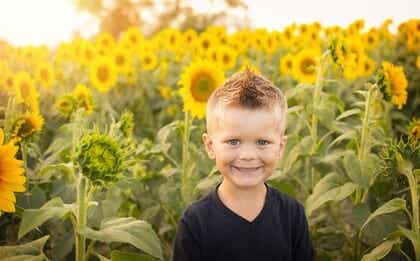 Bambino in un campo di girasoli.