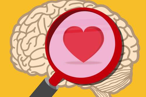 Tipi di intelligenza emotiva: con quale ti identifichi?
