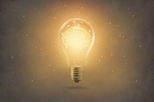 Apprendimento per insight, in cosa consiste?