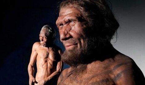 I Neanderthal provavano compassione, lo dimostrano i reperti