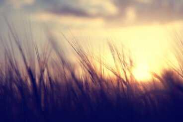 Frasi di Khalil Gibran per riflettere