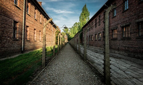 Fantastica storia d'amore ad Auschwitz