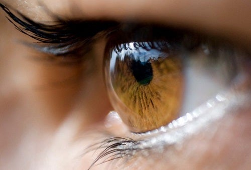 Il colore degli occhi: cosa comunica?