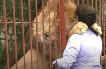 Ana Julia Torres, sorella degli animali