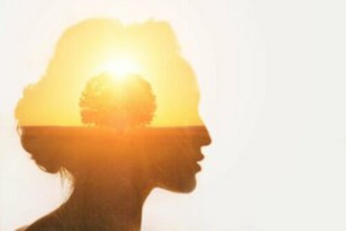 Le facoltà cognitive variano a seconda della stagione?