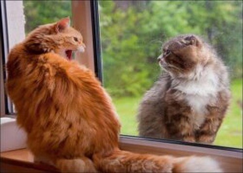 Le cose belle accadono a chi sa aspettare - La Mente è Meravigliosa