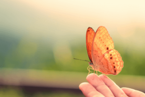 Il punto critico per avviare grandi trasformazioni