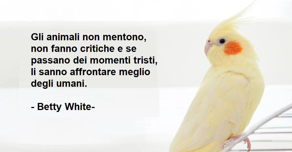 Canarino e frasi amore per gli animali.