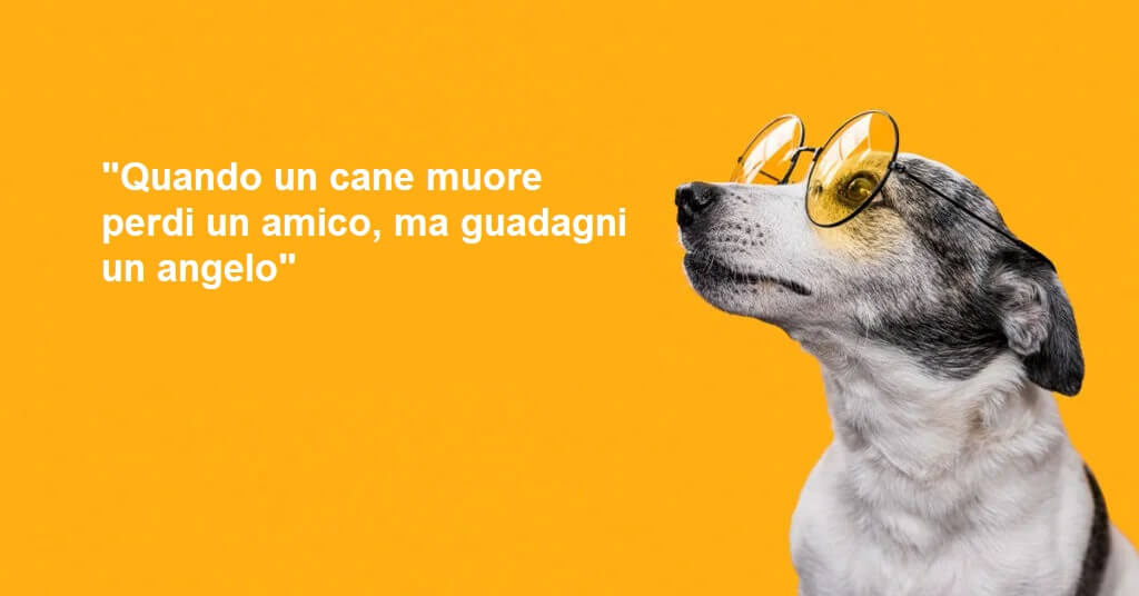 Amore per gli animali.